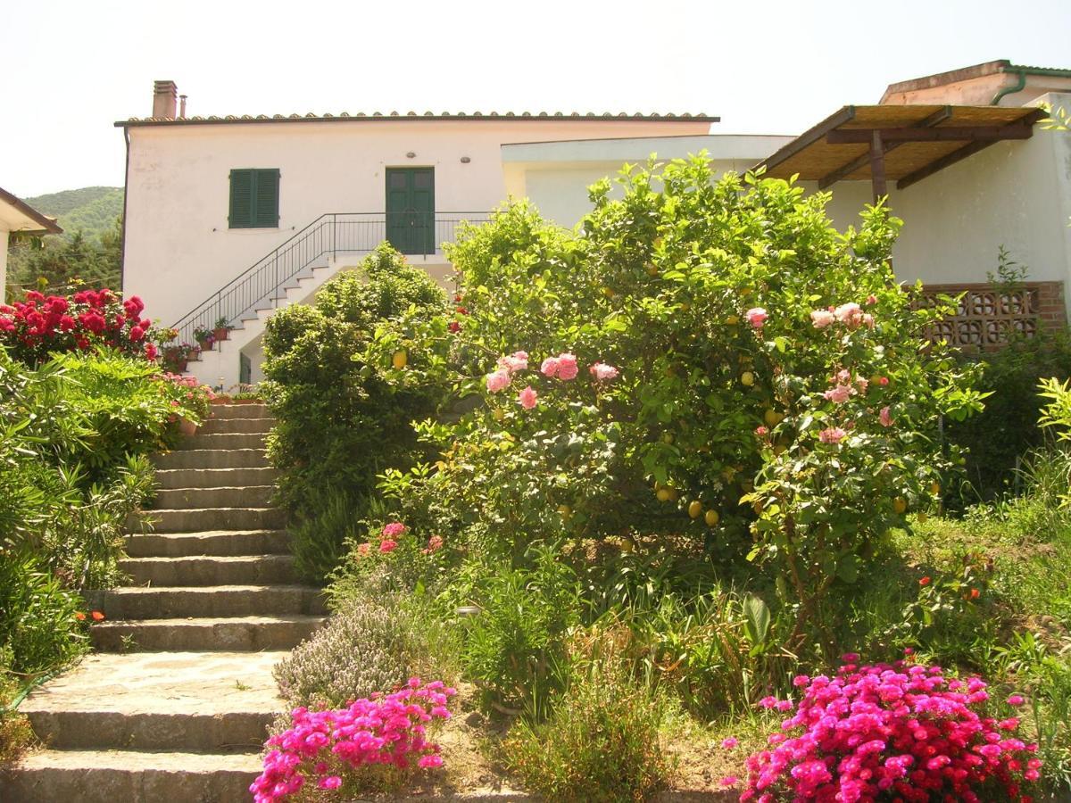 Casa Vigna Maria Daire Zanca Dış mekan fotoğraf